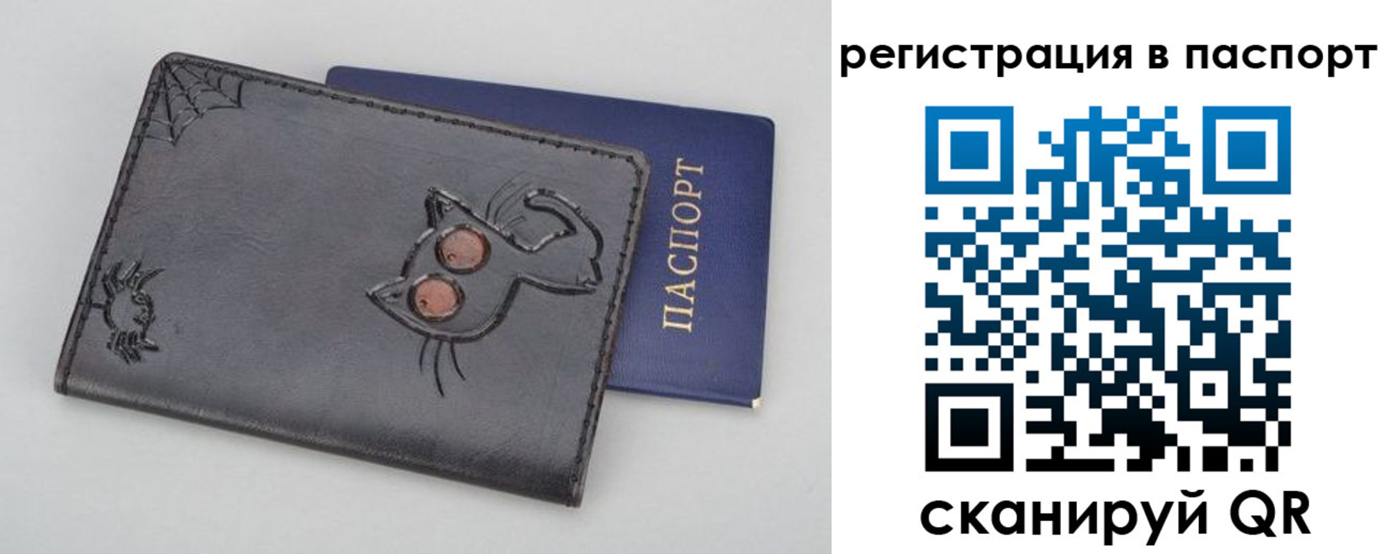 прописка законно в Ленинградской области